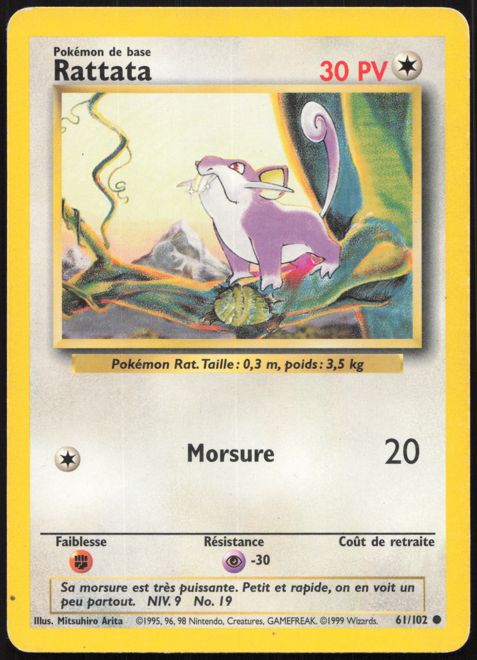 Carte Pokémon