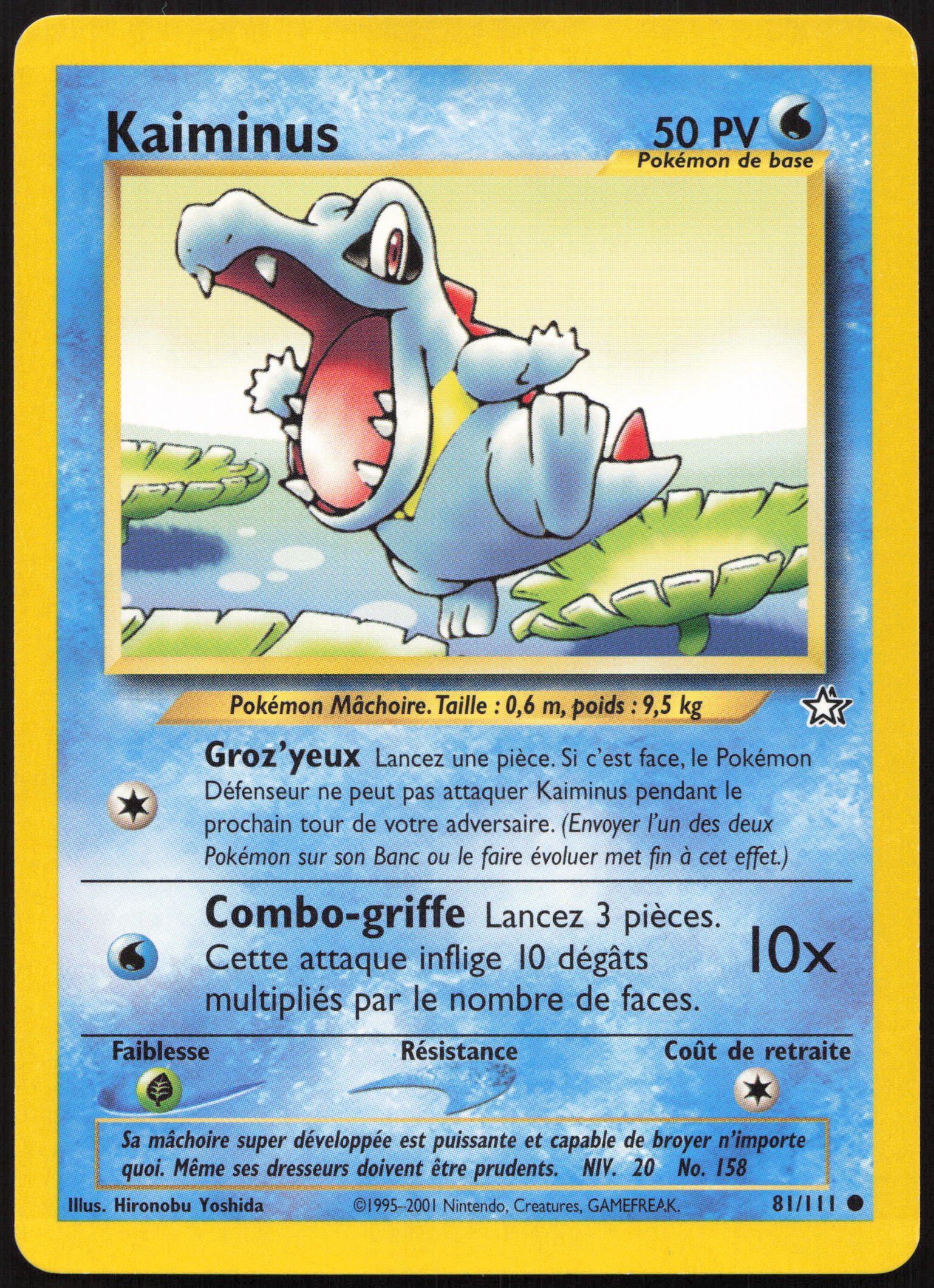 Carte Pokémon