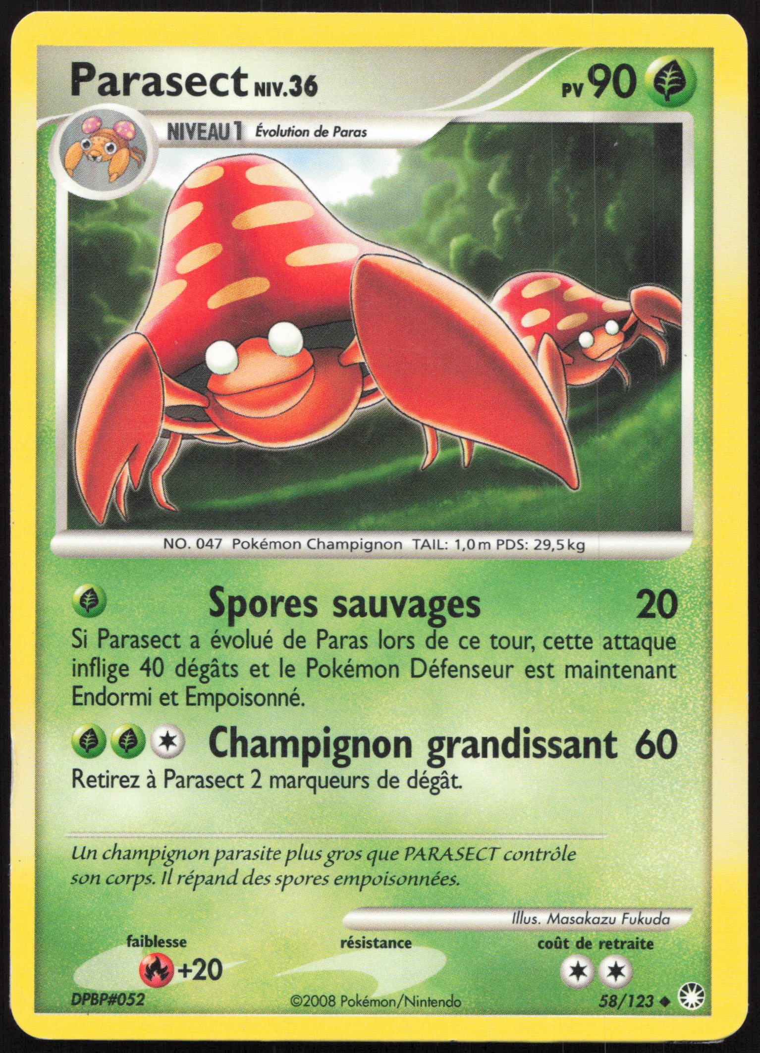 Carte Pokémon