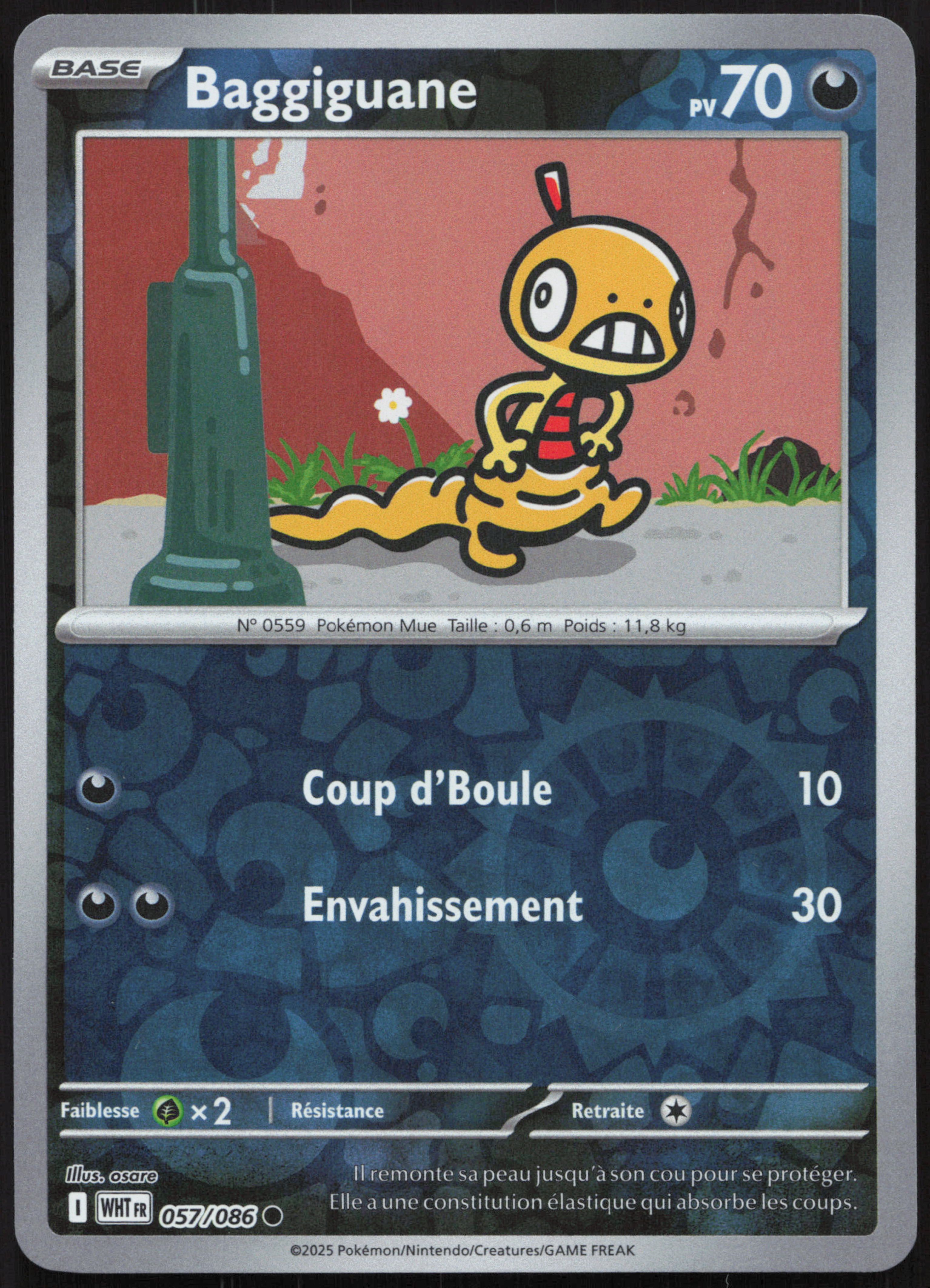 Carte Pokémon