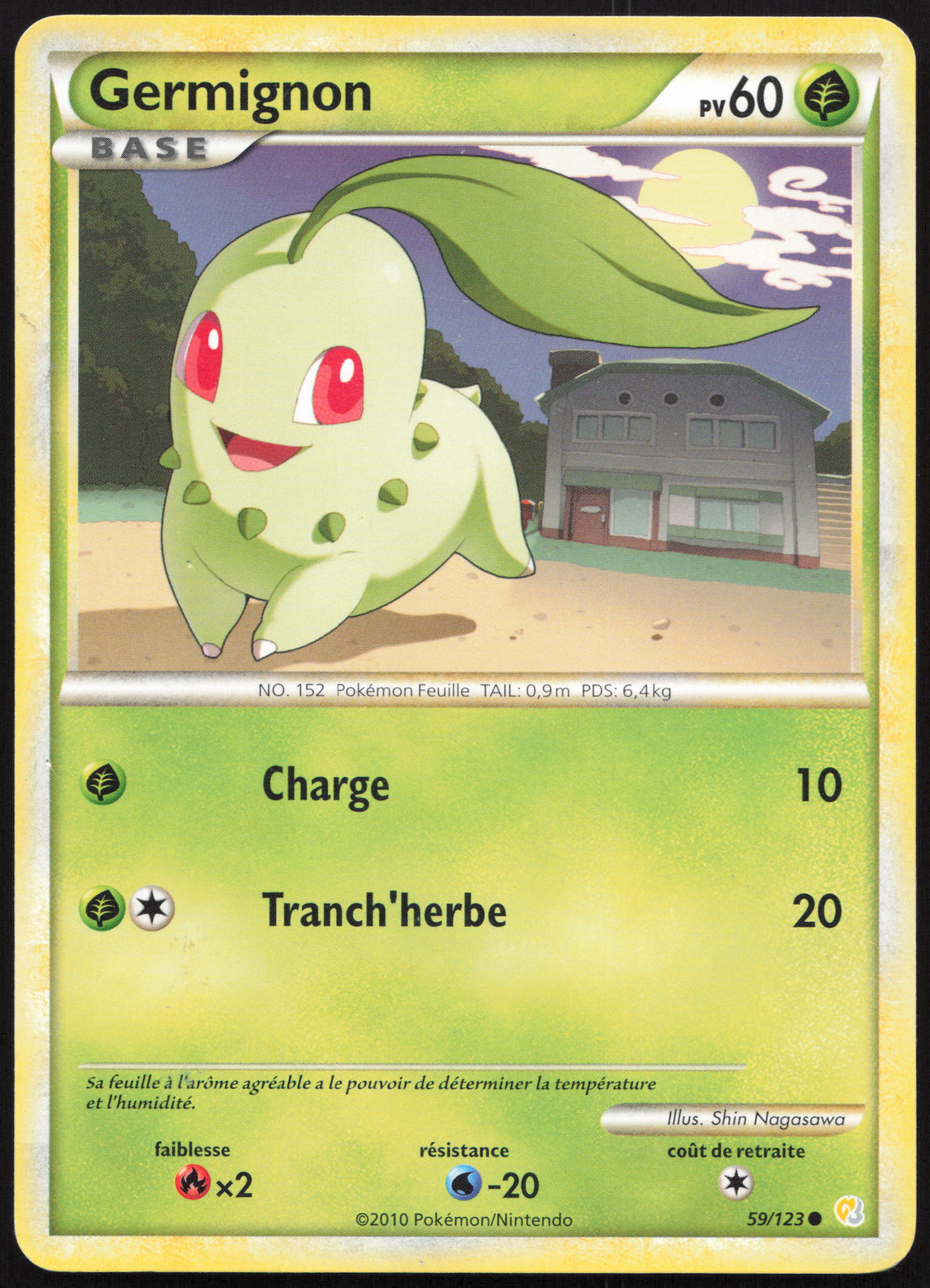 Carte Pokémon