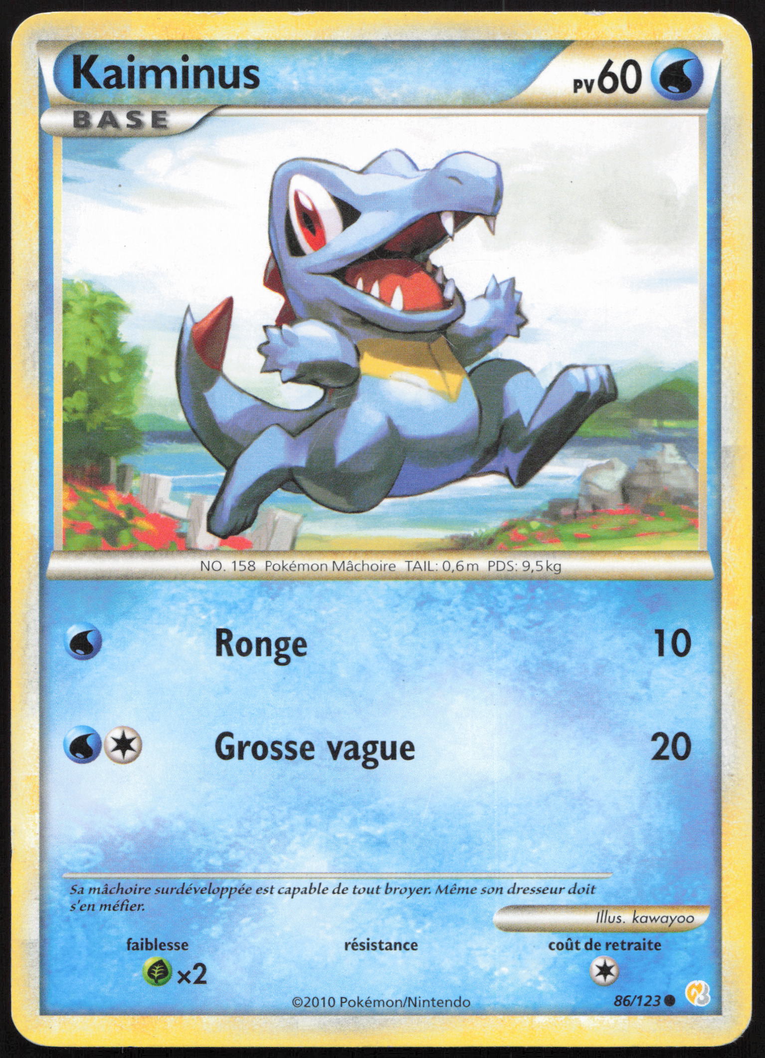 Carte Pokémon